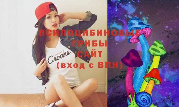 гидропоника Баксан
