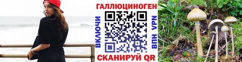 закладка  ОМГ ОМГ ТОР  Псилоцибиновые грибы мицелий  Унеча 